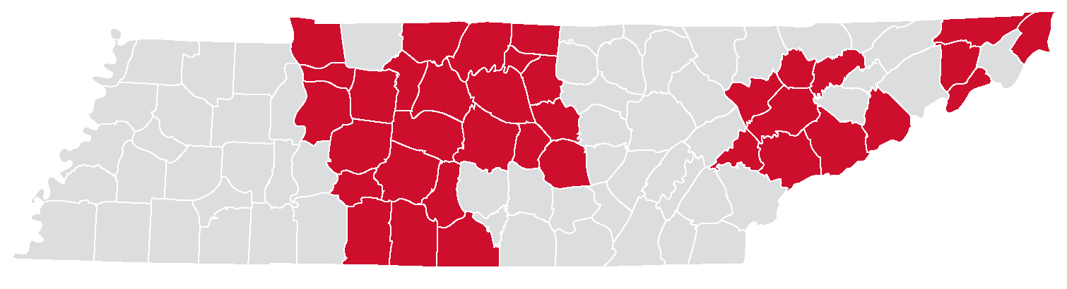 tn-pic.png